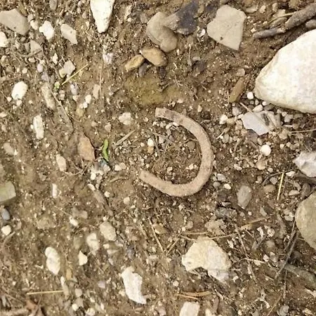 Πανσιόν Guest House Sterk 3*