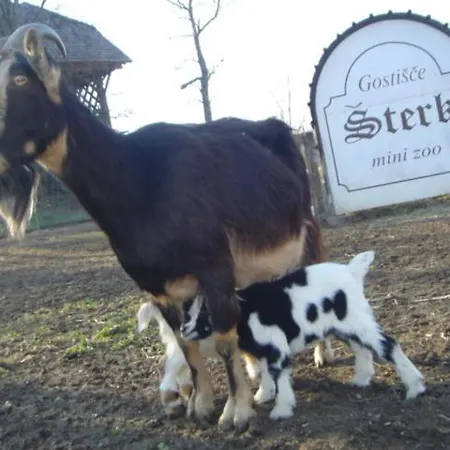 Guest House Sterk Πανσιόν