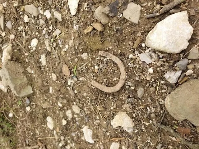 Affittacamere Guest House Sterk 3*