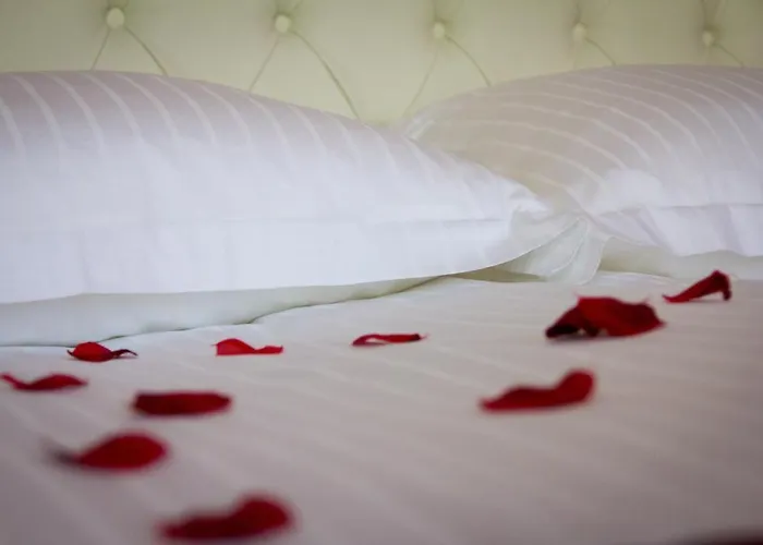 Affittacamere Guest House Sterk