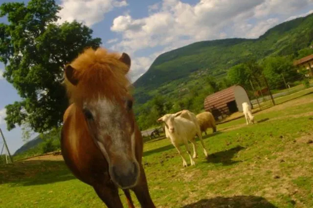 Guest House Sterk Affittacamere Nova Gorica